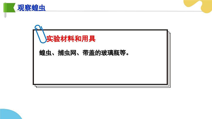 【核心素養(yǎng)】蘇科版生物七年級(jí)下冊(cè) 8.1 無脊椎動(dòng)物（第2課時(shí)） 同步課件第6頁