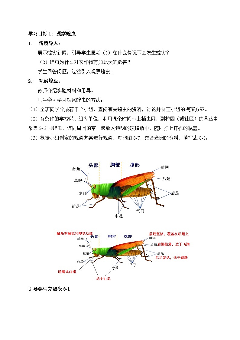 【核心素养】苏科版生物七年级下册 8.1 无脊椎动物(第2课时) 同步教案第2页