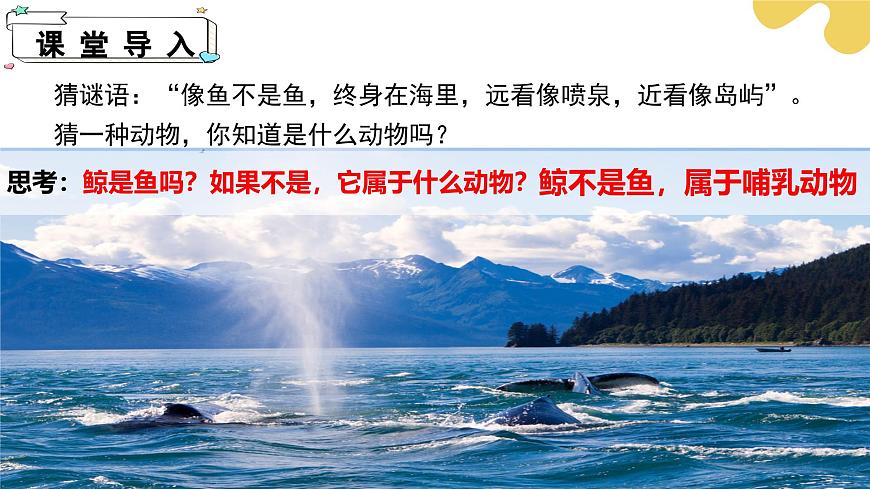【核心素養(yǎng)】蘇科版生物七年級下冊 8.2 脊椎動物（第4課時） 同步課件第4頁