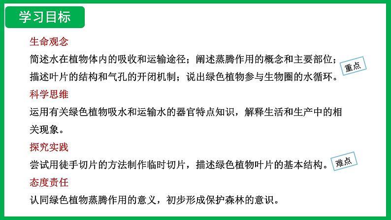 3.2.1 水的利用与散失 (课件)-2024--2025学年人教版生物七年级下册第2页