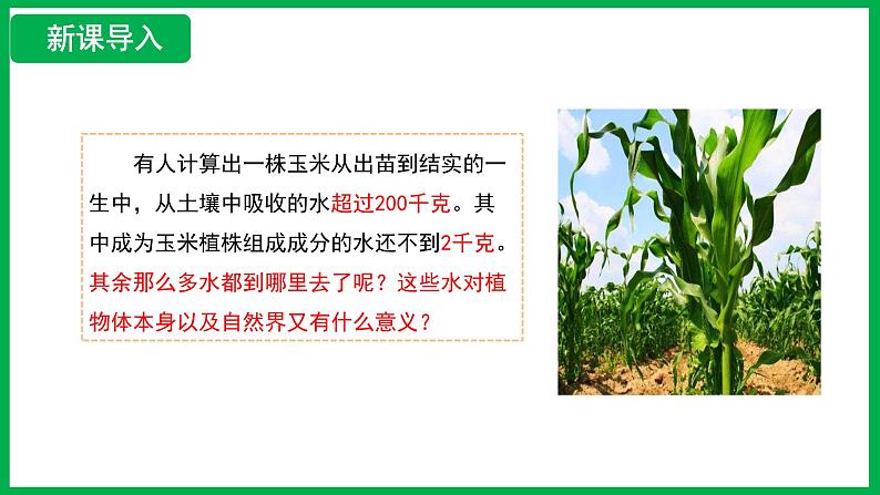 3.2.1 水的利用与散失 (课件)-2024--2025学年人教版生物七年级下册第3页
