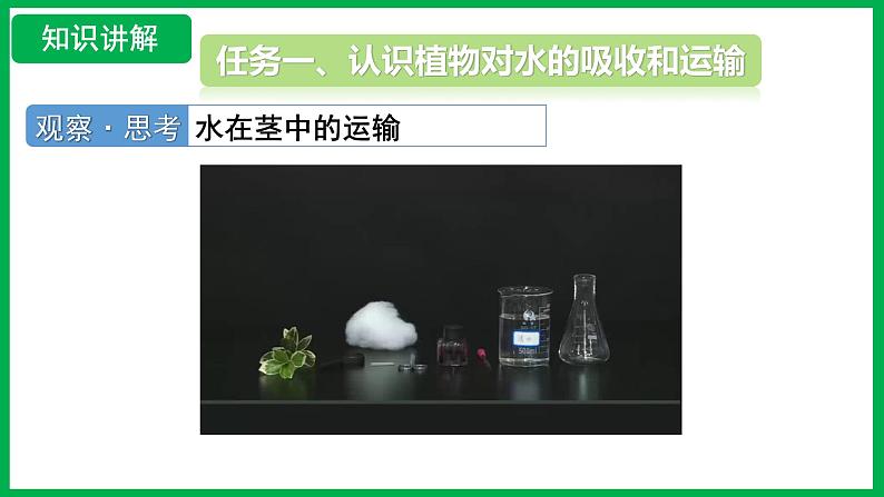 3.2.1 水的利用与散失 (课件)-2024--2025学年人教版生物七年级下册第7页