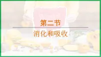 初中人教版（2024）第二节 消化和吸收教案配套ppt课件