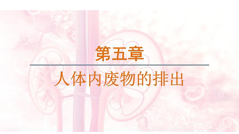 第五章 人体内废物的排出 (课件)-2024--2025学年人教版生物七年级下册第1页