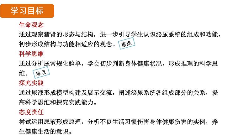 第五章 人体内废物的排出 (课件)-2024--2025学年人教版生物七年级下册第2页