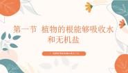 初中生物济南版（2024）七年级下册（2024）第一节 植物的根能够吸收水和无机盐说课ppt课件