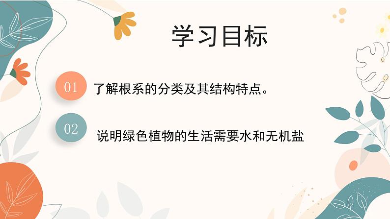 【核心素养目标】济南版初中生物七年级下册3.1.1《植物的根能够吸收水和无机盐》课件第3页