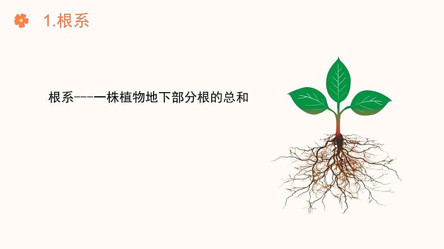 【核心素養(yǎng)目標(biāo)】濟(jì)南版初中生物七年級下冊3.1.1《植物的根能夠吸收水和無機(jī)鹽》課件第5頁