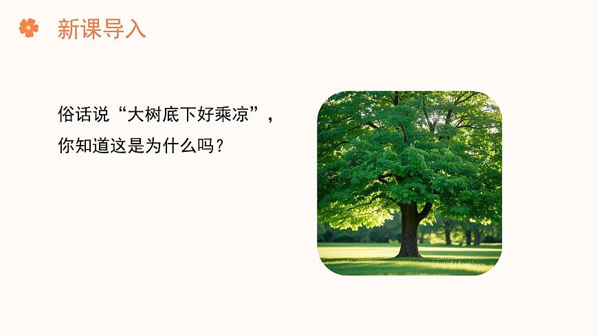 【核心素養(yǎng)目標(biāo)】濟(jì)南版初中生物七年級(jí)下冊(cè)3.1.2《蒸騰作用促進(jìn)植物對(duì)水的吸收和運(yùn)輸》課件第2頁