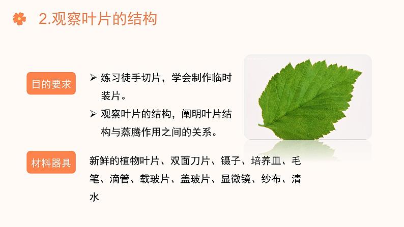【核心素养目标】济南版初中生物七年级下册3.1.2《蒸腾作用促进植物对水的吸收和运输》课件第6页