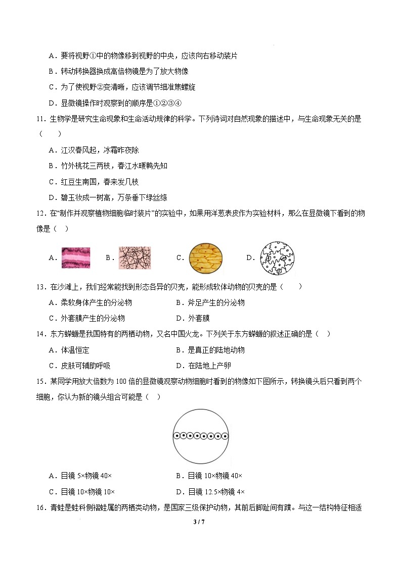 七年级生物开学摸底考(安徽专用)-2024-2025学年初中下学期开学摸底考试卷 七年级生物开学摸底考(安徽专用)(考试版)第3页