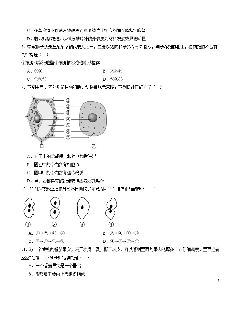 七年级生物开学摸底考(山东专用)(A4考试版)第3页