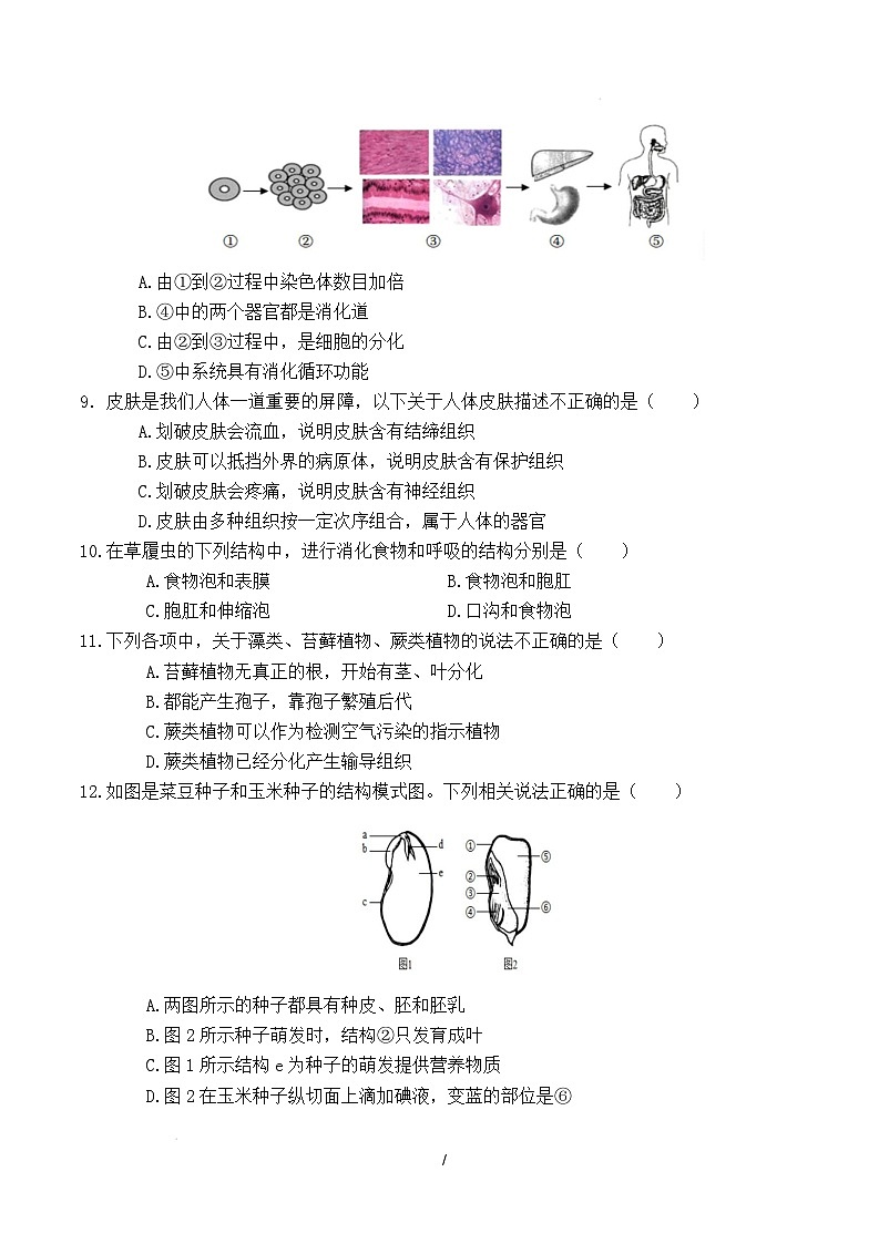 七年级生物开学摸底考(武汉专用)(考试版)第3页