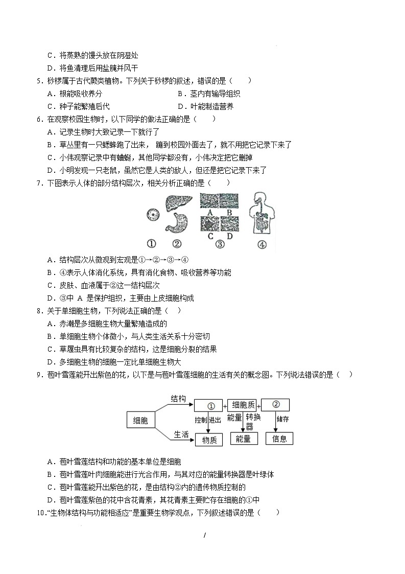 七年級(jí)生物開學(xué)摸底考（湖北專用）（考試版）第2頁(yè)