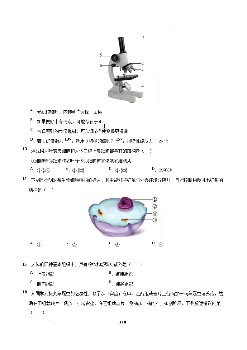七年级生物开学摸底考(辽宁专用)(考试卷) 第3页