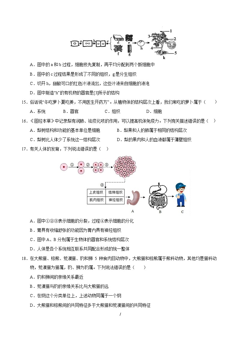 七年级生物开学摸底考(徐州专用)(考试版)第3页