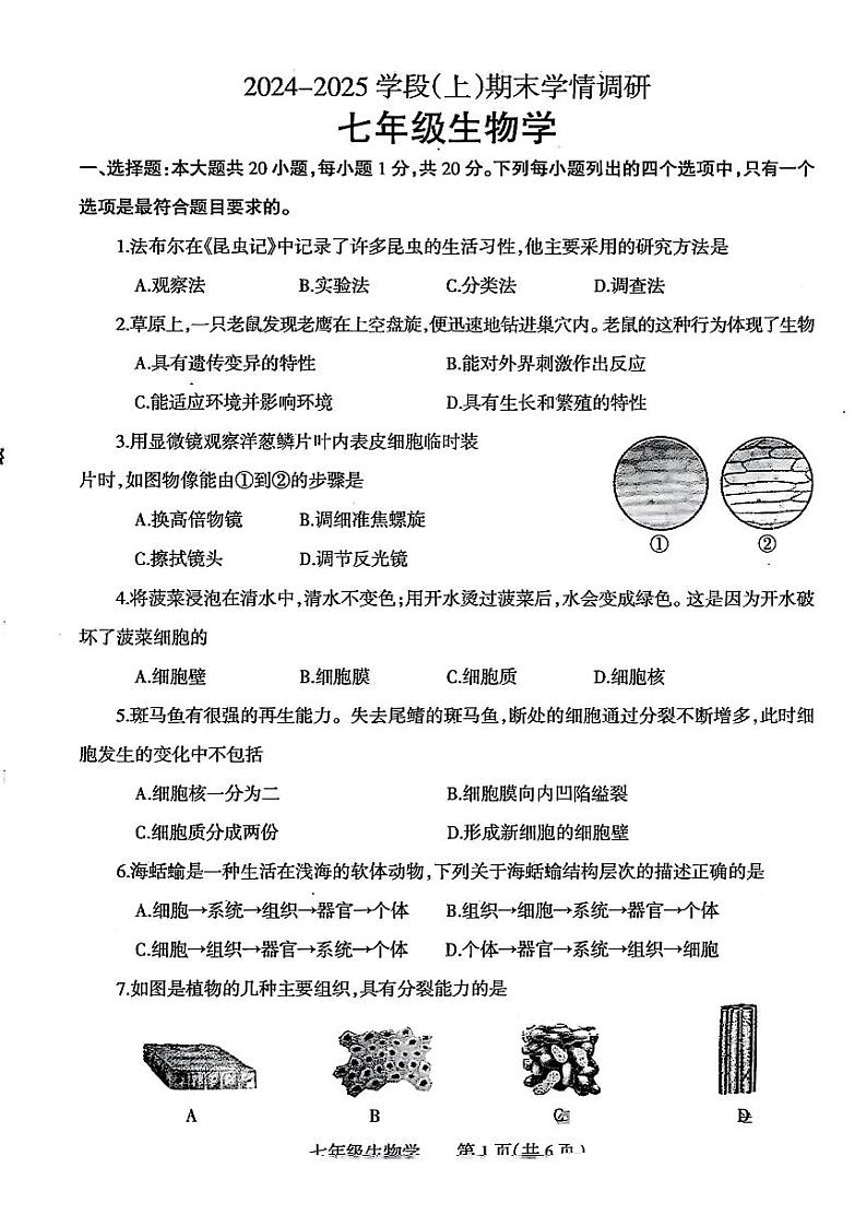 焦作市2024-2025七年级上学期期末生物试卷及答案第1页