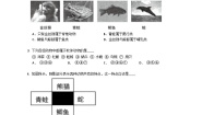 北京版（2024）八年级下册第六节 动物优秀精练