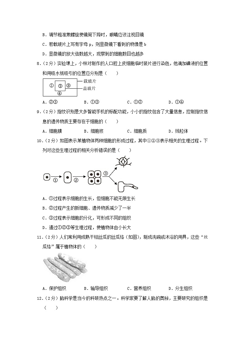 2023-2024学年四川成都武侯区七年级上册生物期末试卷及答案第2页