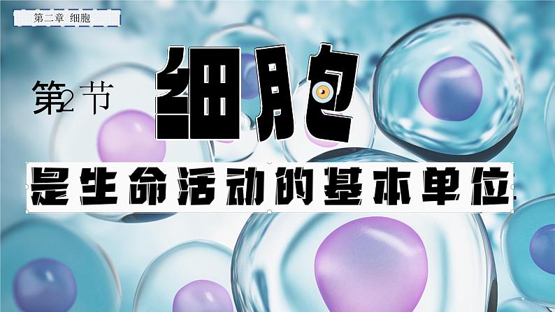 2.2.2 细胞是生命活动的单位(2024秋) 2024北师大版七年级生物上册课件第1页