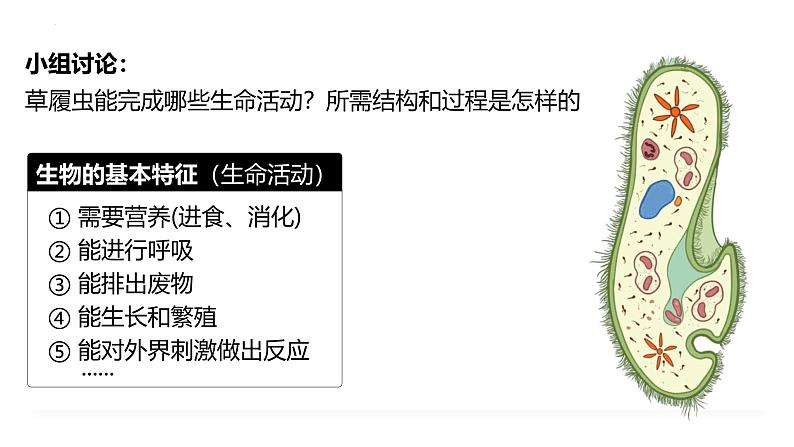 2.2.2 细胞是生命活动的单位(2024秋) 2024北师大版七年级生物上册课件第6页