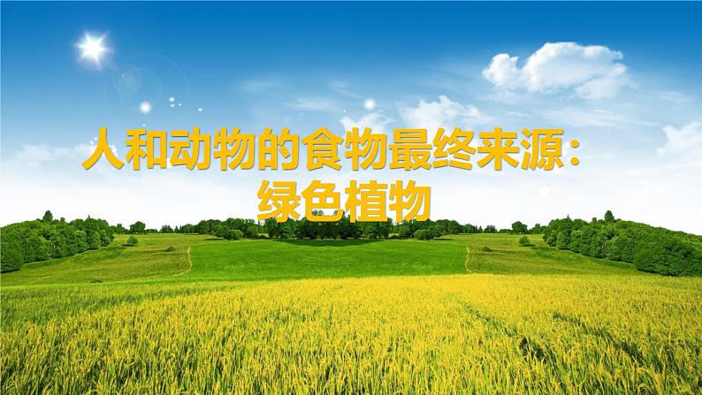 3.4.1 光合作用(第1课时,2024秋) 2024北师大版七年级生物上册课件第2页