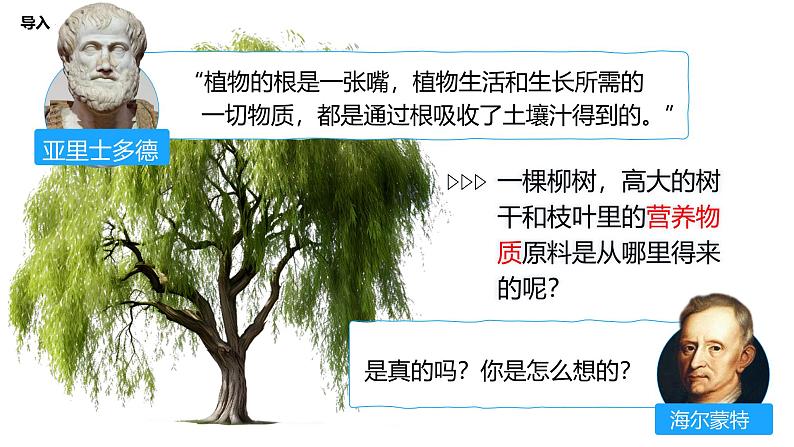 3.4.1 光合作用(第1课时,2024秋) 2024北师大版七年级生物上册课件第4页