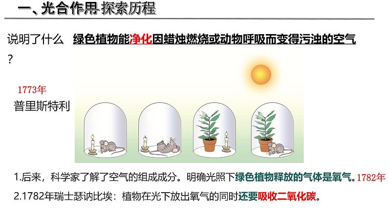 3.4.1 光合作用(第1课时,2024秋) 2024北师大版七年级生物上册课件第7页