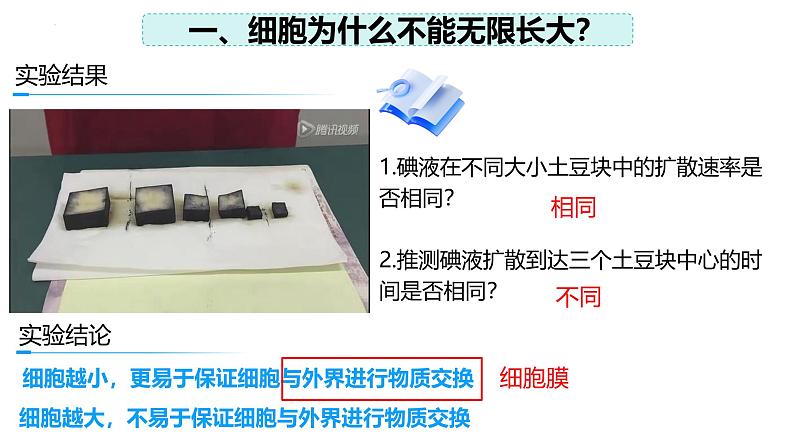 2.3.1 细胞通过分裂而增殖(2024秋) 2024北师大版七年级生物上册课件第7页