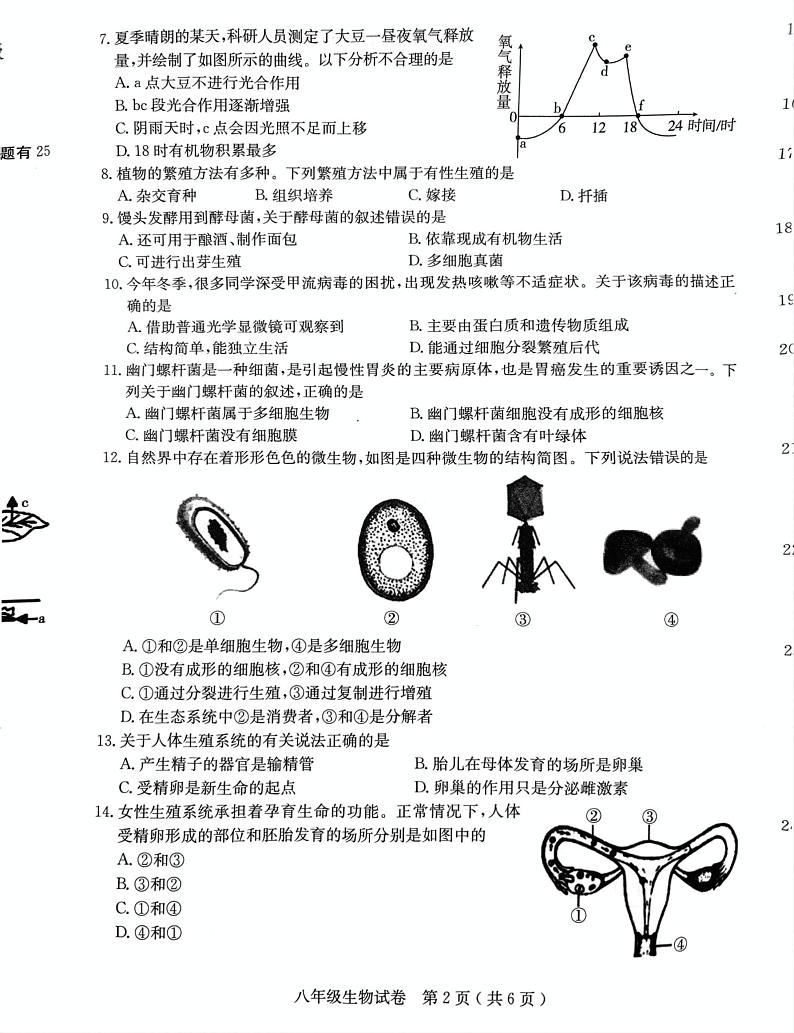 河北省石家庄市正定县2024-2025学年八年级上学期期末教学质量检测生物试题第2页
