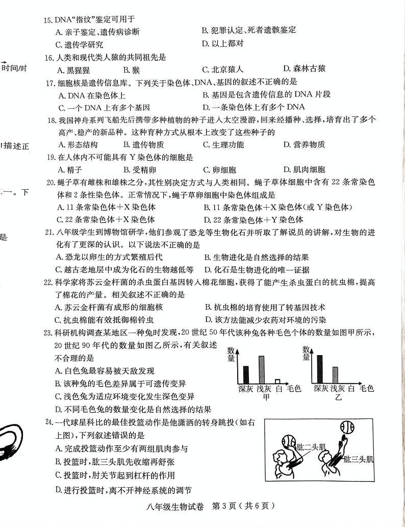 河北省石家庄市正定县2024-2025学年八年级上学期期末教学质量检测生物试题第3页