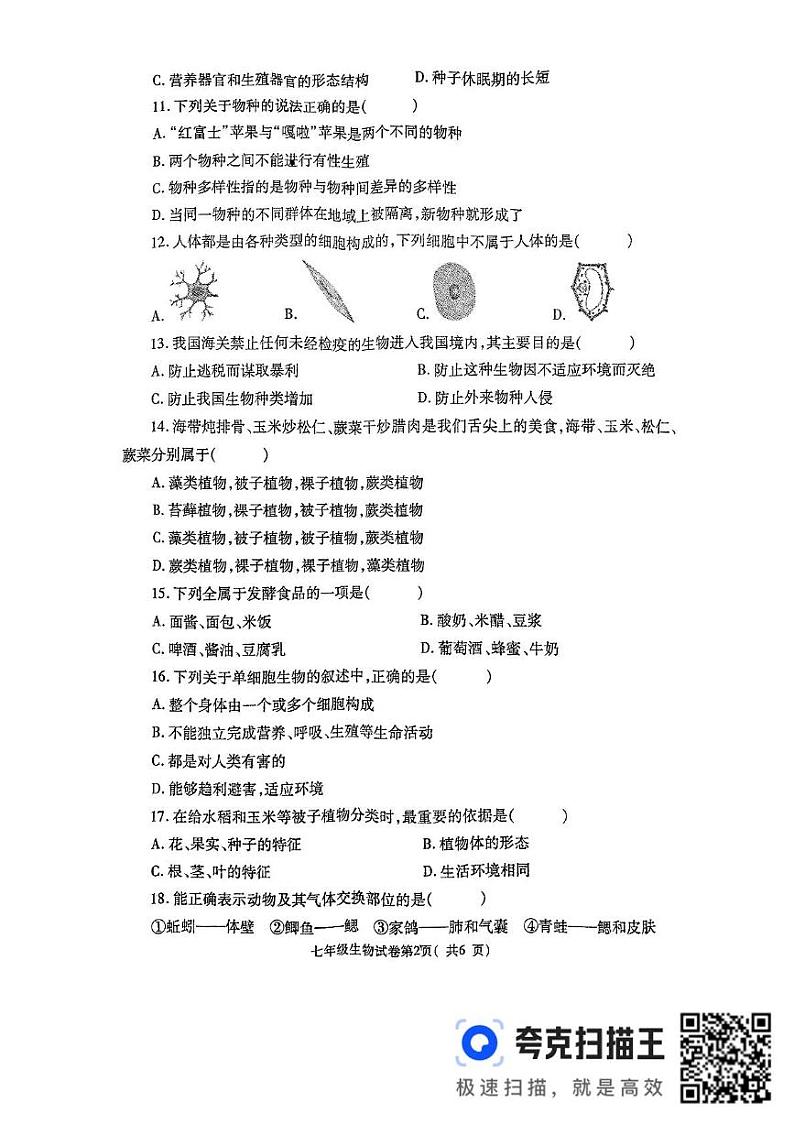 河南省洛阳市新安县2024-2025学年七年级上学期1月期末生物试题第2页