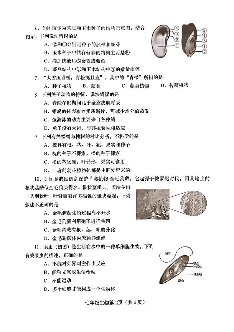 河南省南阳市镇平县2024–2025学年七年级上学期期末考试生物试卷第2页