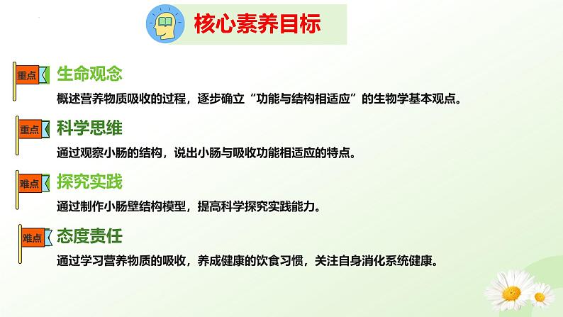 【核心素养】冀少版生物七年级下册 3.1.3 食物的消化和营养物质的吸收(三、营养物质的吸收) 同步课件第4页