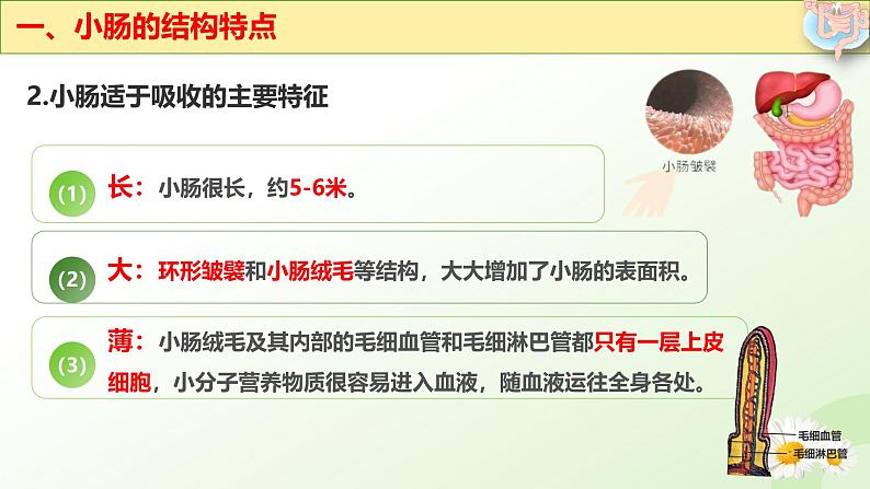 【核心素养】冀少版生物七年级下册 3.1.3 食物的消化和营养物质的吸收(三、营养物质的吸收) 同步课件第7页