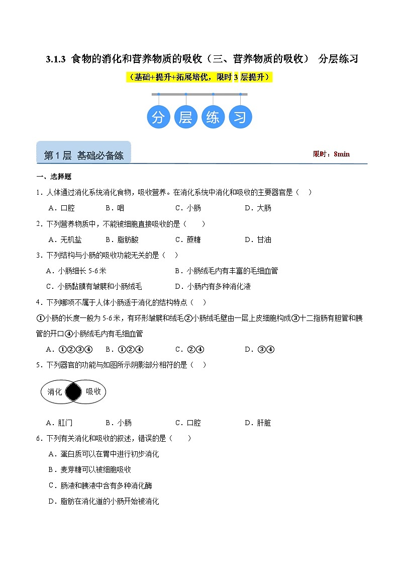 【核心素养】冀少版生物七年级下册 3.1.3 食物的消化和营养物质的吸收(三、营养物质的吸收) (分层练习)(原卷版)第1页