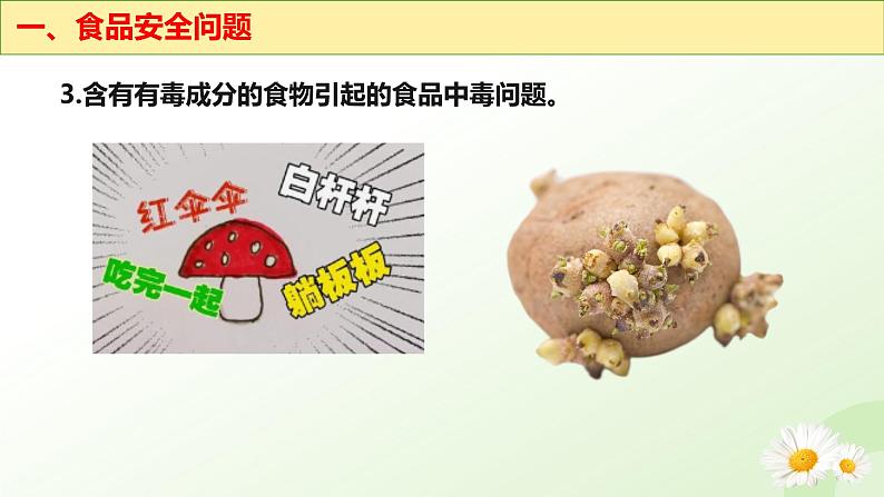 【核心素养】冀少版生物七年级下册 3.1.4 食品安全与合理饮食同步课件第7页