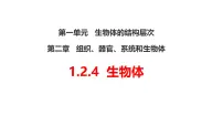 初中生物冀少版(2024)七年级上册(2024)第四节 生物体图文ppt课件