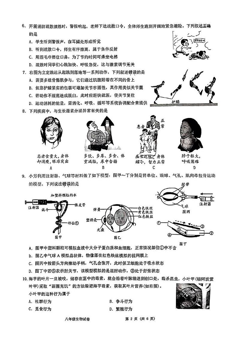 江苏省南通市海门区2024-2025学年八年级上学期期末生物试题第2页