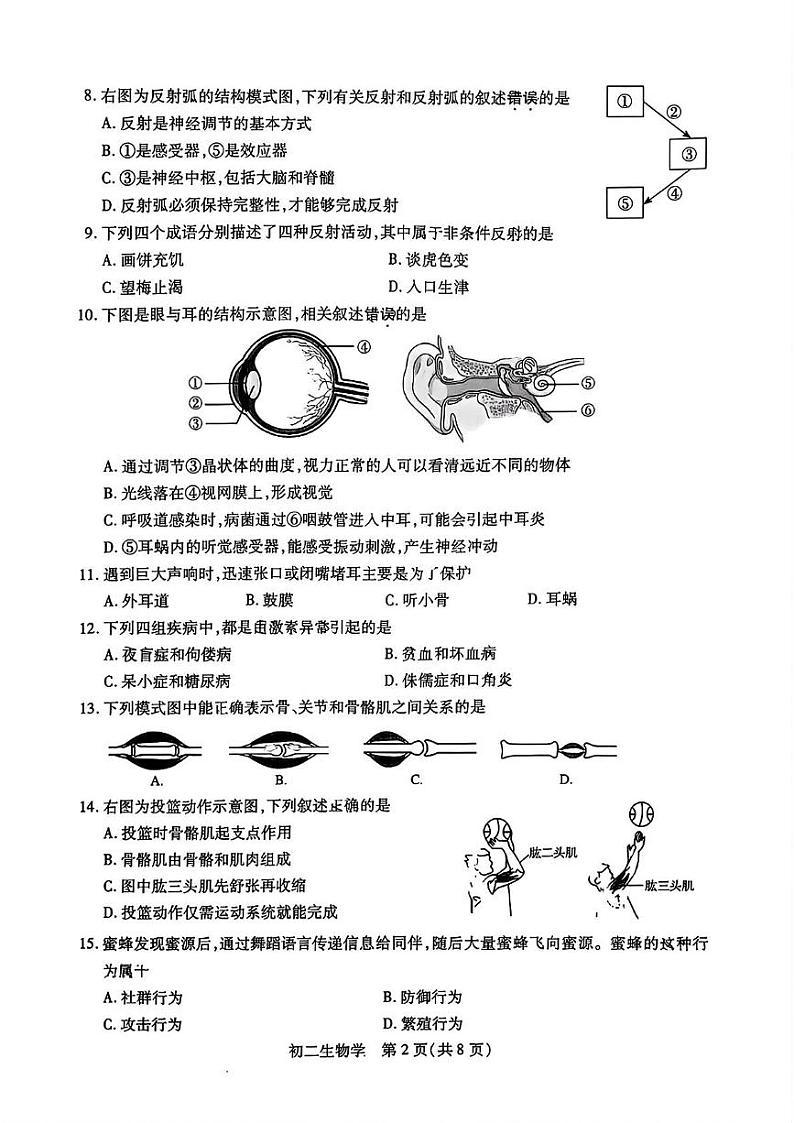 江苏省苏州市四市2024-2025学年八年级上学期期末考试生物试题第2页