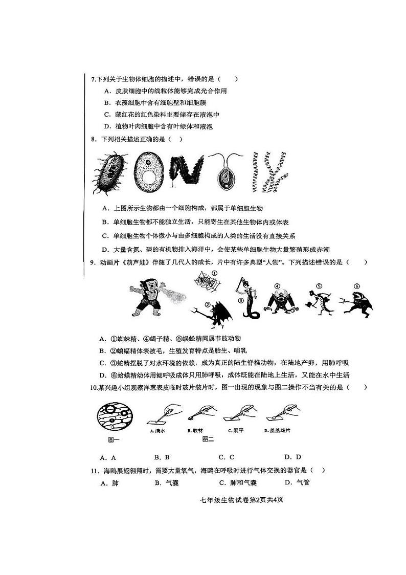 江西省宜春市五校2024-2025学年七年级上学期期末质量检测生物试卷第2页