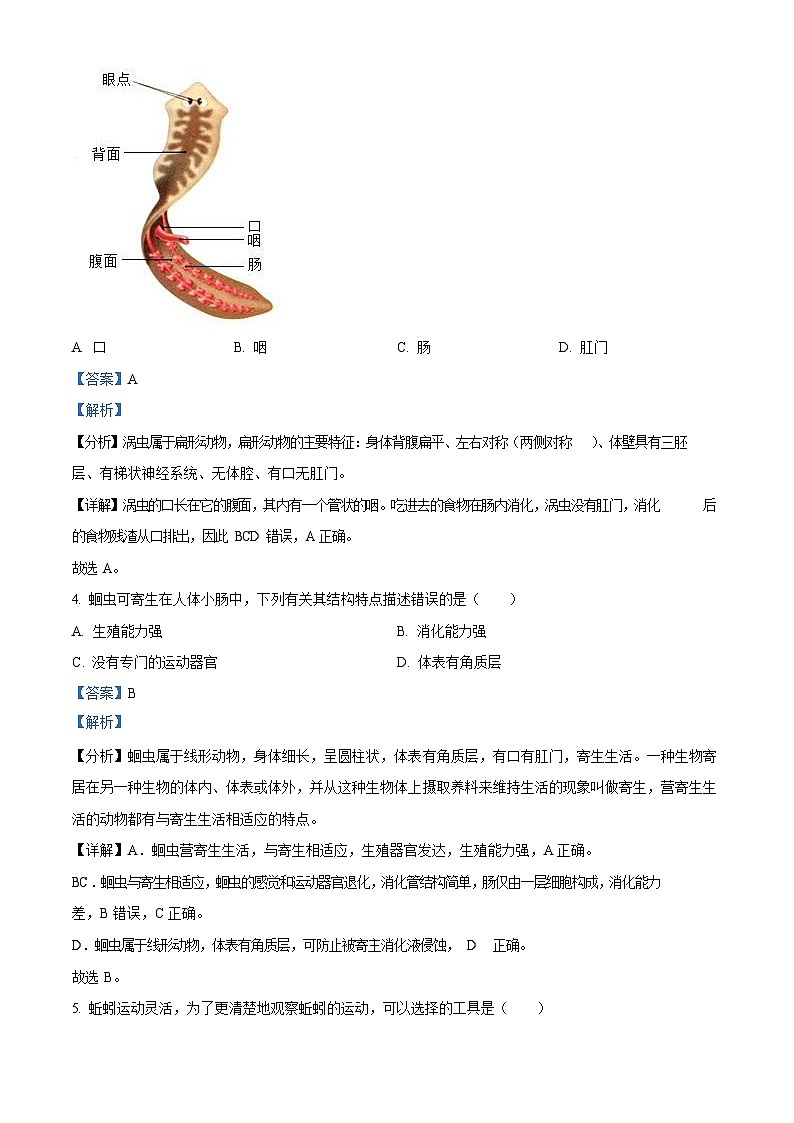 深圳市福田区莲花中学2023-2024学年八年级上学期期中生物试卷(含答案)第2页