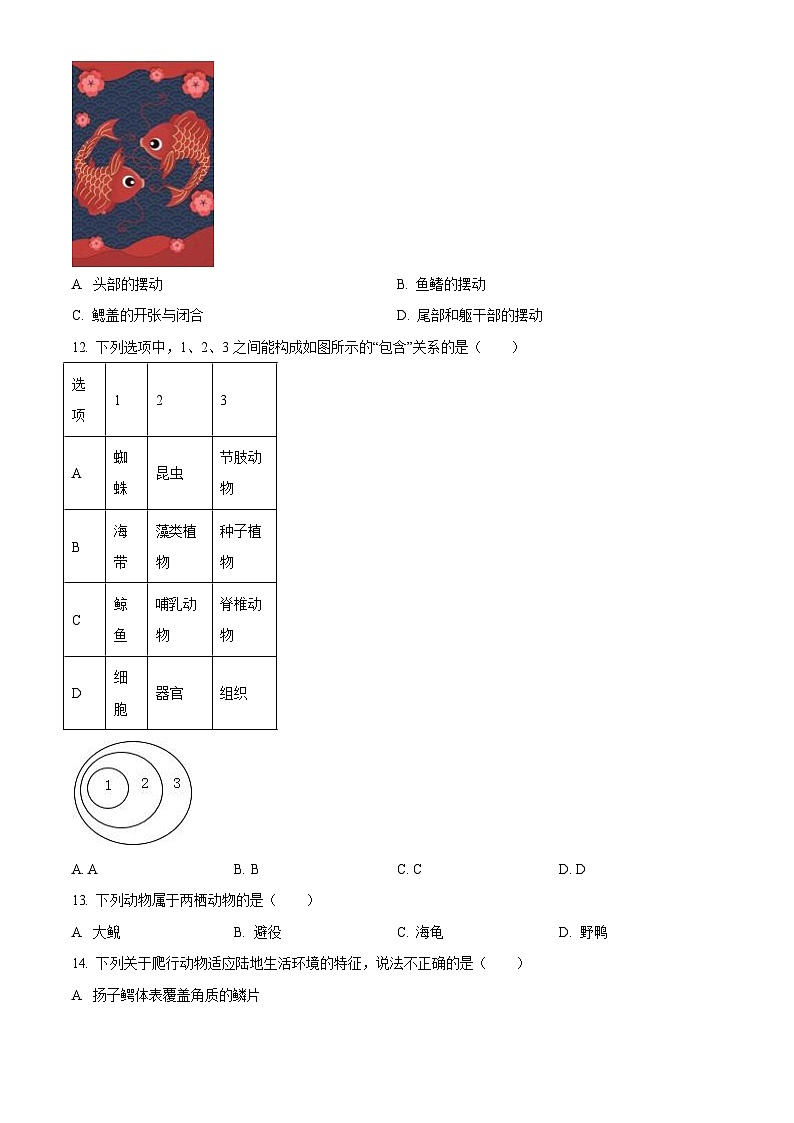 深圳市福田区莲花中学2023-2024学年八年级上学期期中生物试卷第3页