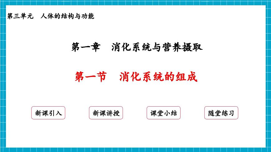 【新教材】冀少版生物七年級(jí)下冊(cè)3.1.1  消化系統(tǒng)的組成 課件第2頁