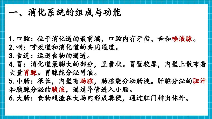 【新教材】冀少版生物七年級(jí)下冊(cè)3.1.1  消化系統(tǒng)的組成 課件第5頁