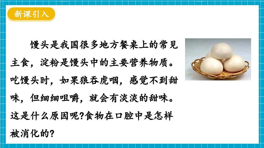 【新教材】冀少版生物七年級下冊3.1.3 食物的消化和營養(yǎng)物質(zhì)的吸收(一、食物在口腔內(nèi)的消化) 課件第3頁