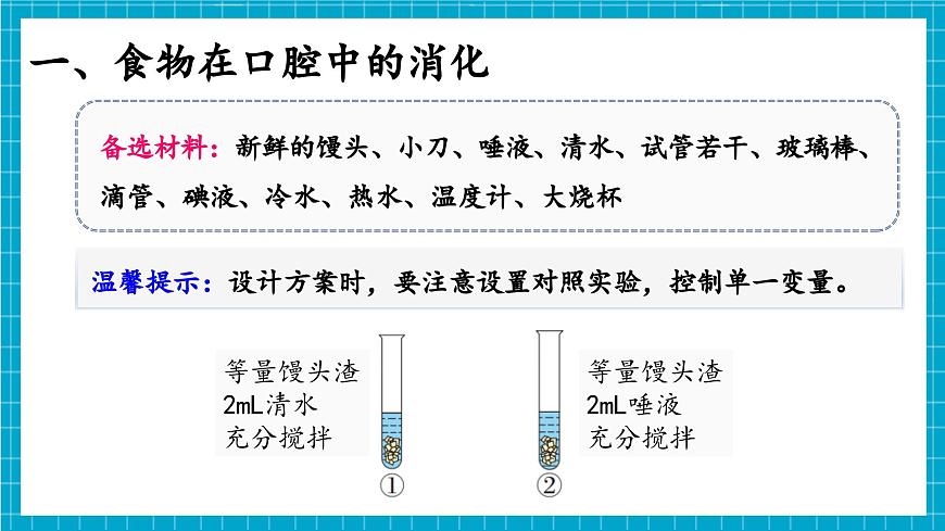 【新教材】冀少版生物七年級下冊3.1.3 食物的消化和營養(yǎng)物質(zhì)的吸收(一、食物在口腔內(nèi)的消化) 課件第5頁