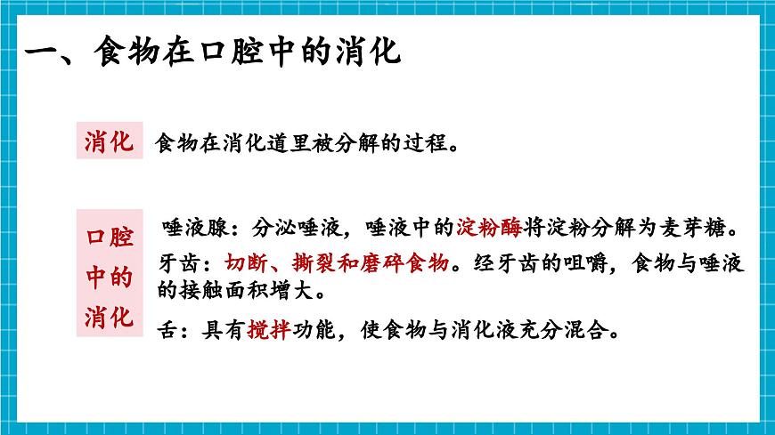 【新教材】冀少版生物七年級下冊3.1.3 食物的消化和營養(yǎng)物質(zhì)的吸收(一、食物在口腔內(nèi)的消化) 課件第7頁