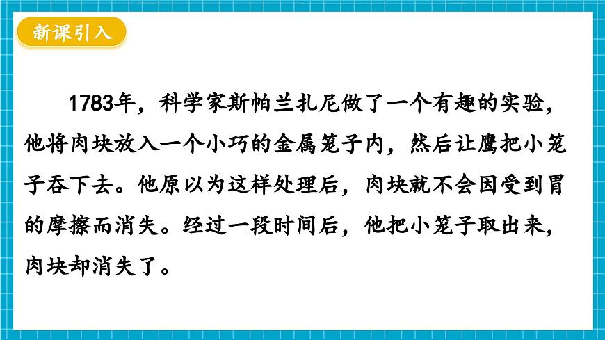 【新教材】冀少版生物七年級(jí)下冊(cè)3.1.3 食物的消化和營養(yǎng)物質(zhì)的吸收(二、食物在胃腸內(nèi)的消化) 課件第3頁
