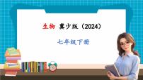 初中生物冀少版（2024）七年級下冊（2024）一、血液優(yōu)秀課件ppt